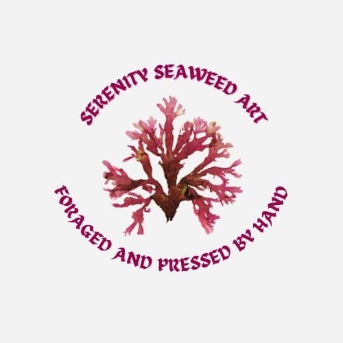 Serenity Seaweed Art