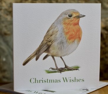 Robin Greeting Card