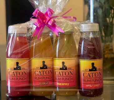 Caton Rum Punch Gift Pack (10-12.5% ABV. 4 x 250ml)