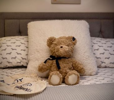 Brown Bear