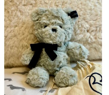 Light Blue Bear
