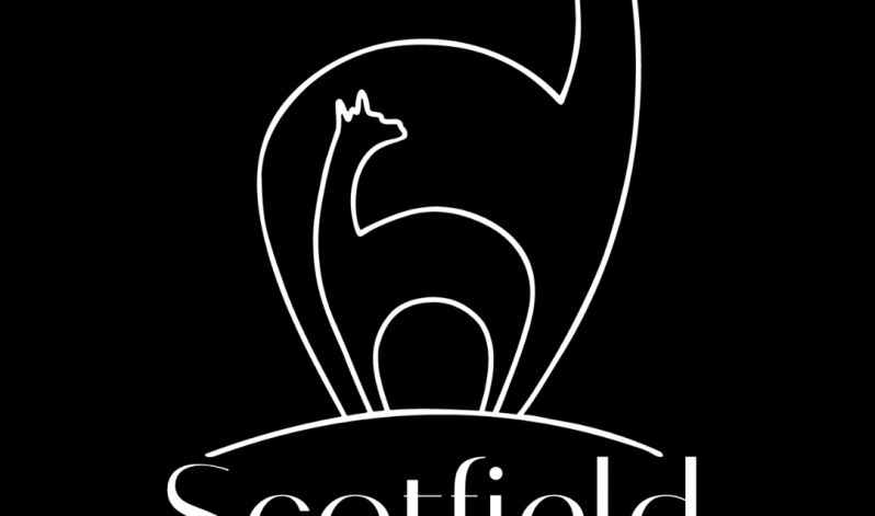 Scotfield Alpaca