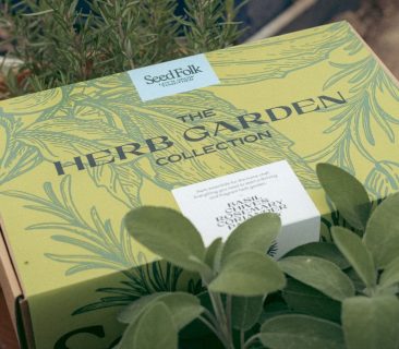 The Herb Garden Starter Kit