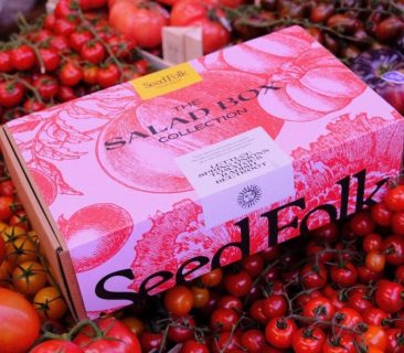 The Salad Box Starter Kit